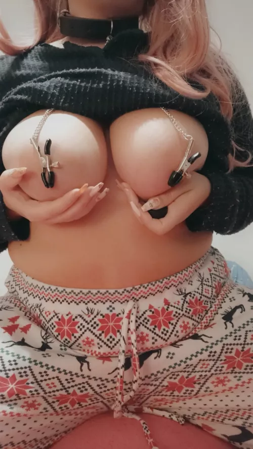 Daddy gave me nipple clips for my collar 💙