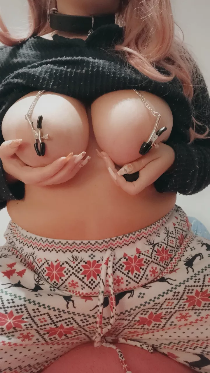 Daddy gave me nipple clips for my collar 💙