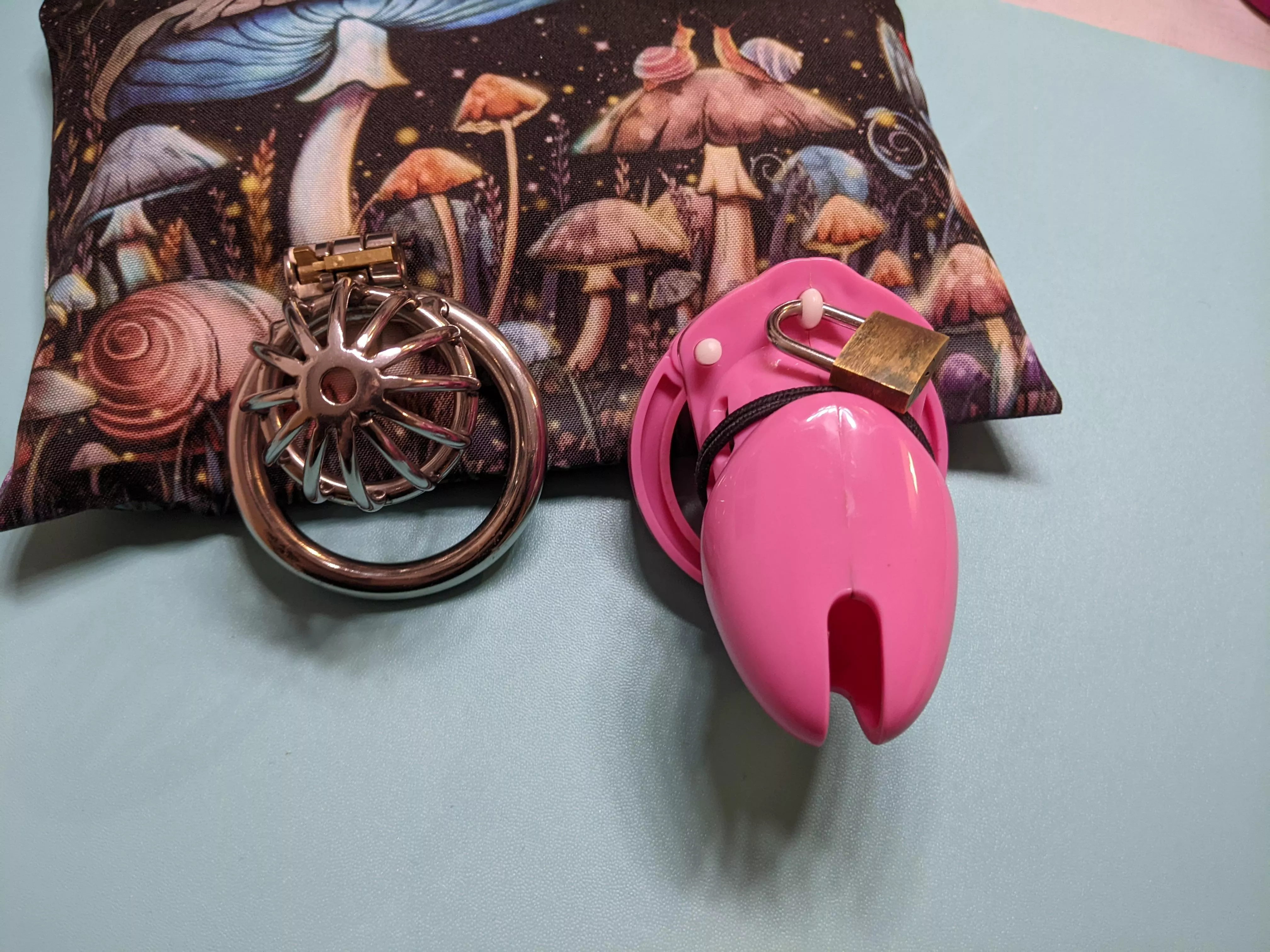 Finally got my new cage! Can you tell which one it is?