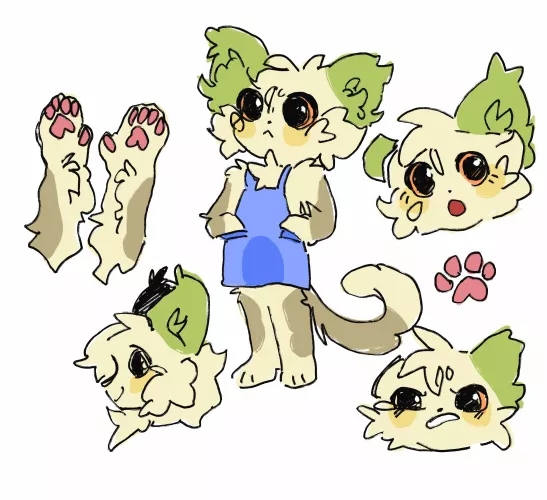 Furry adopt!!