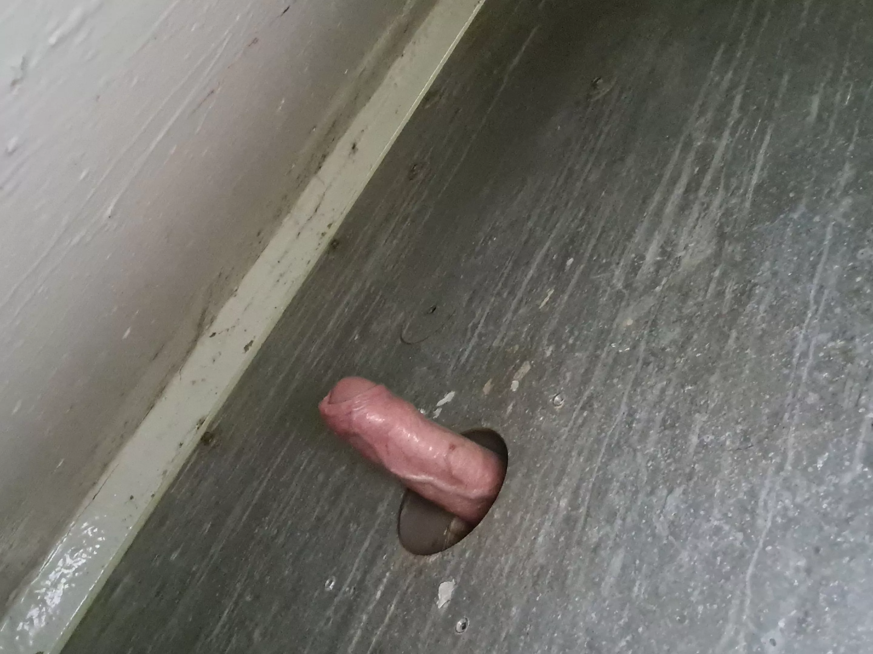 Grants house Scottish Borders Public toilet has a fun interesting add-on :)