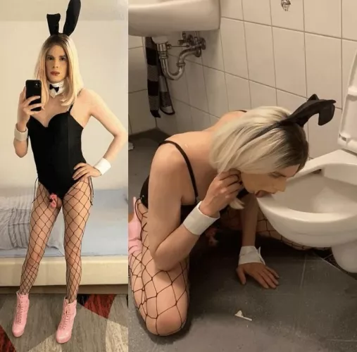 humiliated sissy bunny 🙄
