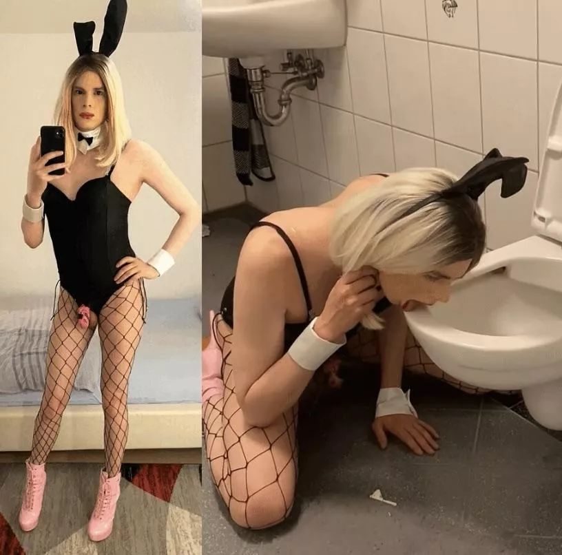 humiliated sissy bunny 🙄