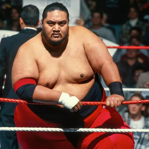 Lizzo leaked topless pic.