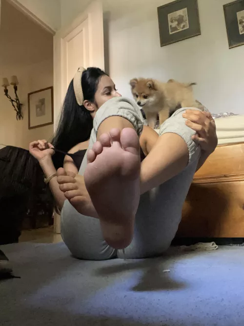 My dog will get all the attention while you lick my soles (OC)