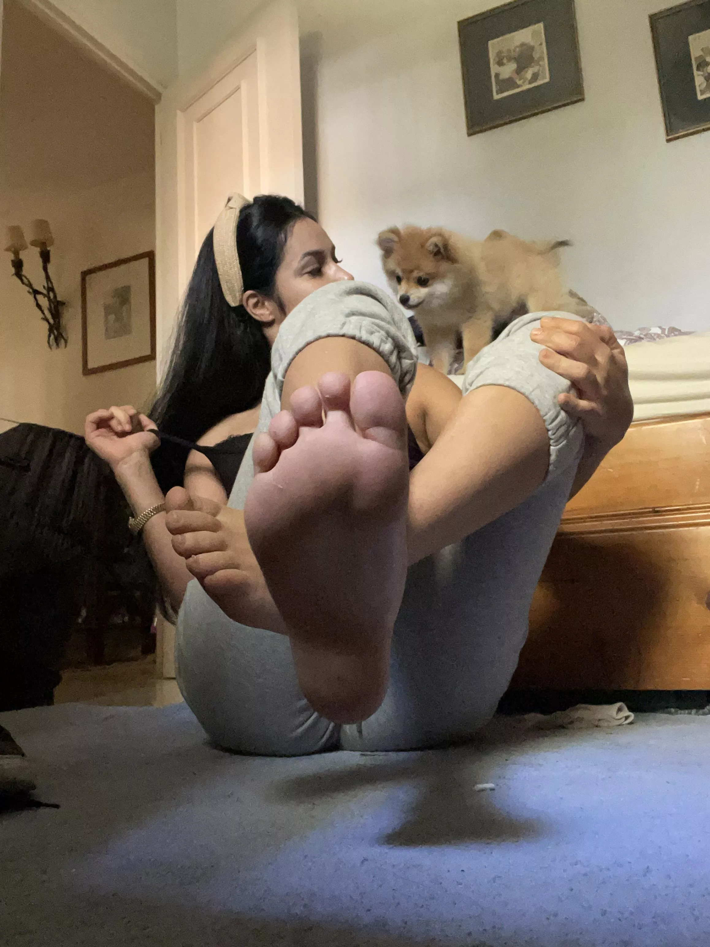 My dog will get all the attention while you lick my soles (OC)