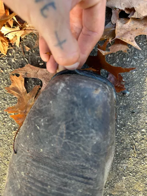 New ariat intrepid venttek