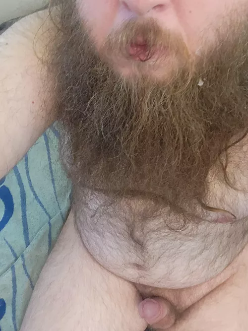Shot cum into my beard