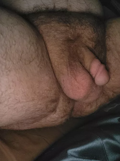 Should I trim all this fur?