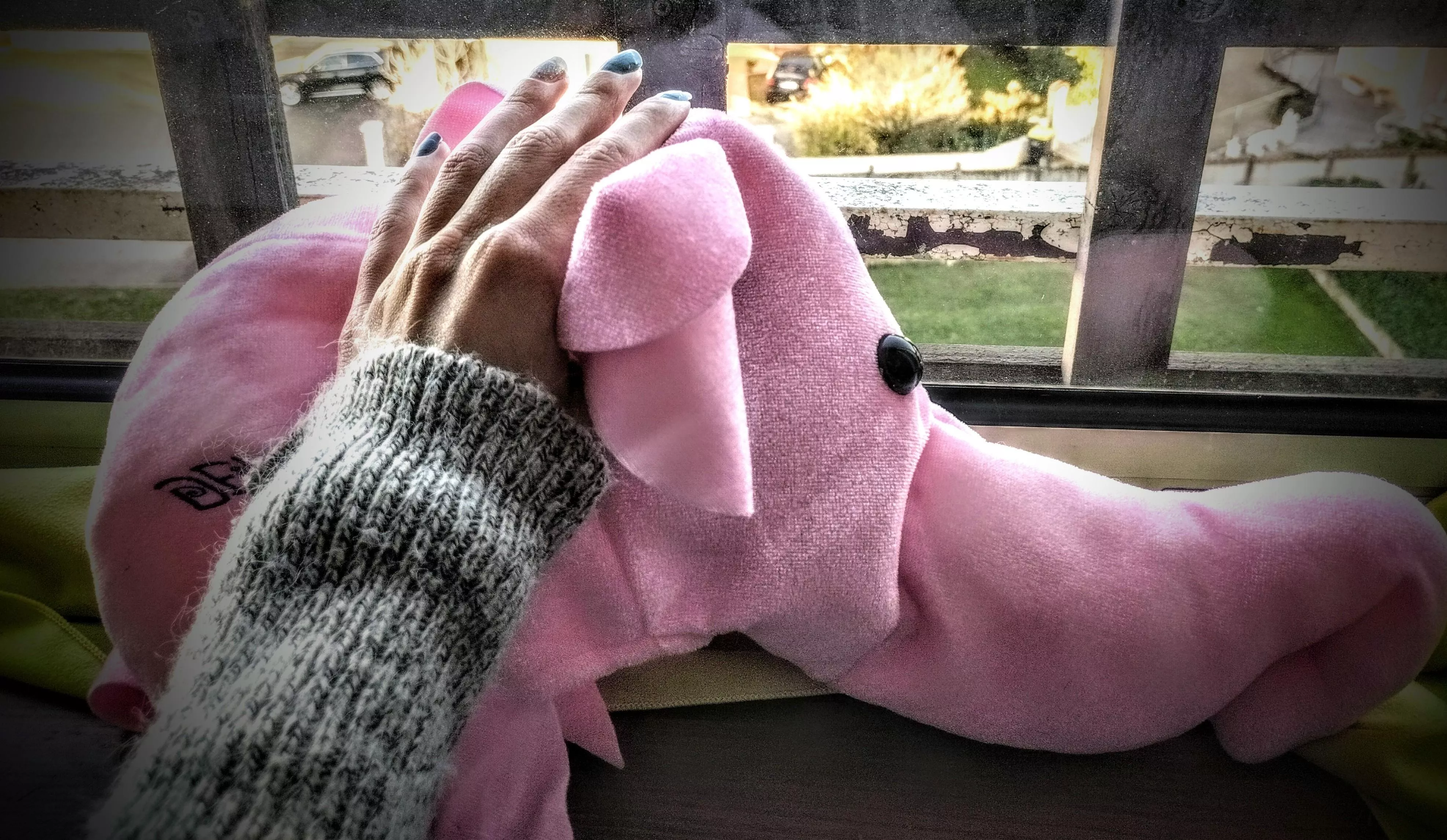 Stroking my new pet 😉