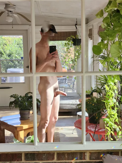 sunroom boner