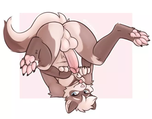 They say ferrets are flexible (Art by me)