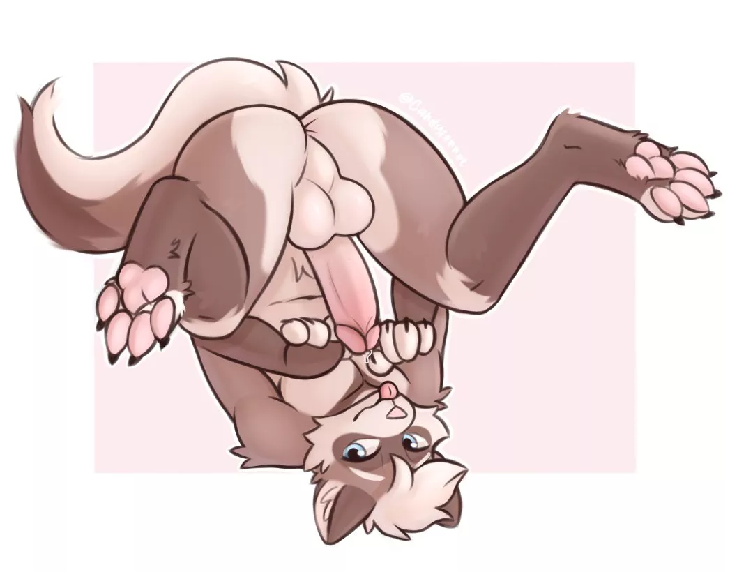They say ferrets are flexible (Art by me)