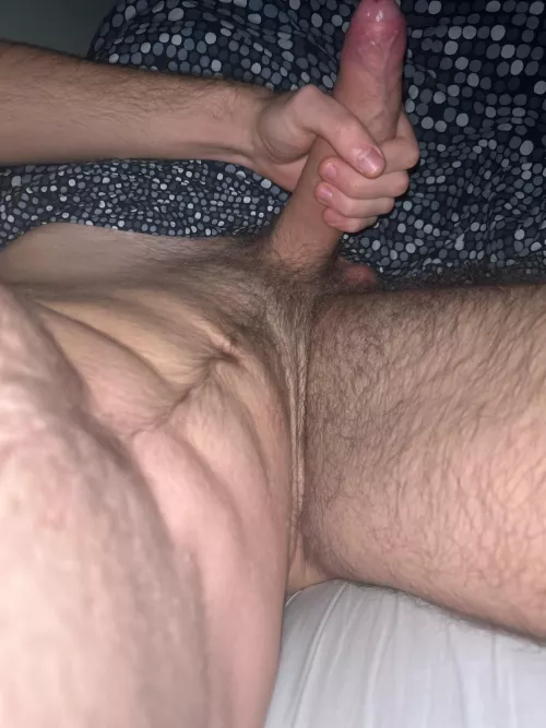 18 fit hung vers sc: oboj0000