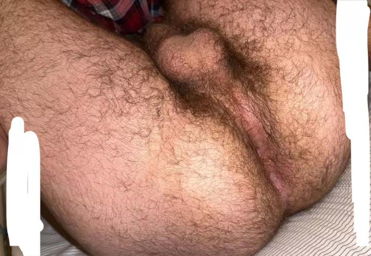 22 hairybi23