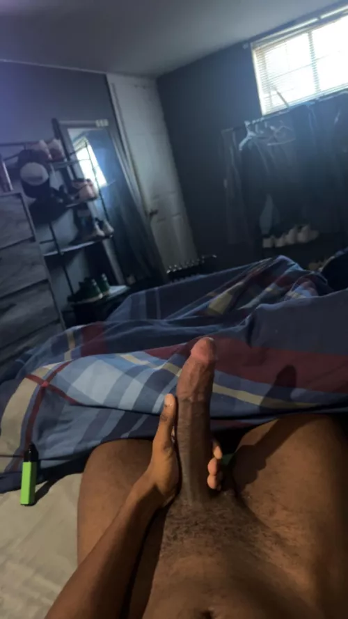 22m looking for bros to live jerk with snap troyal8inch