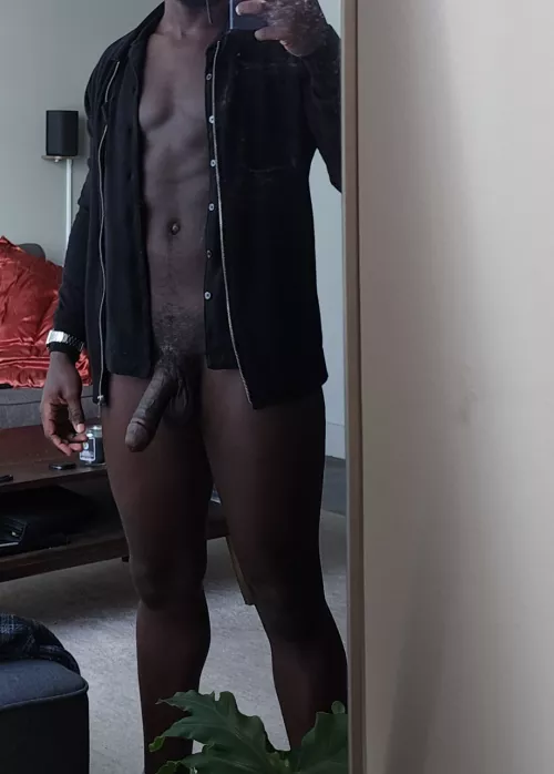 27M BBC Bull looking for an ongoing hotwife in North Dallas