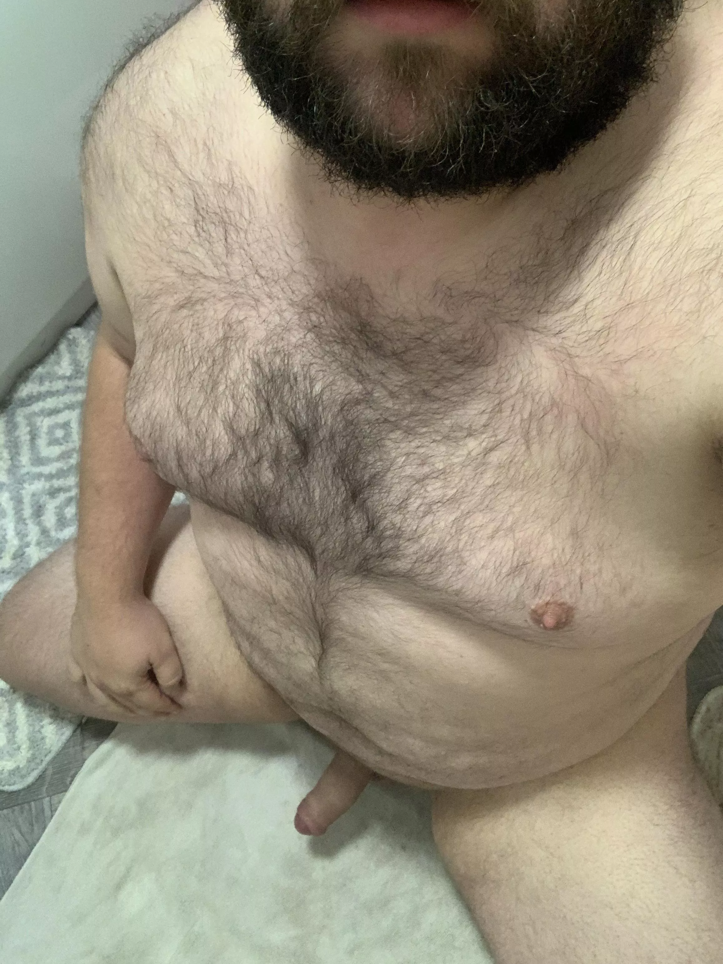 British bear needs attention