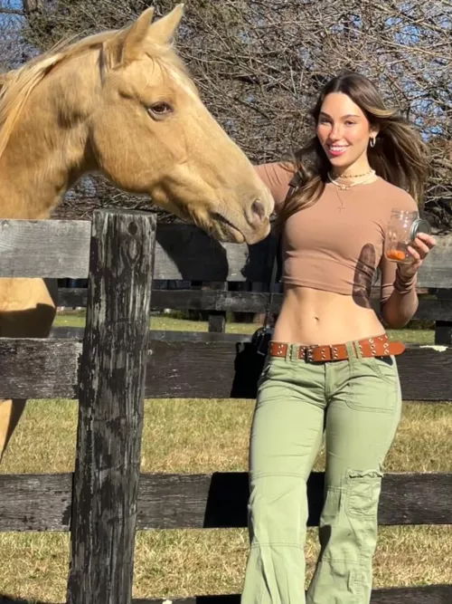 Do you like horses? 😋🐴