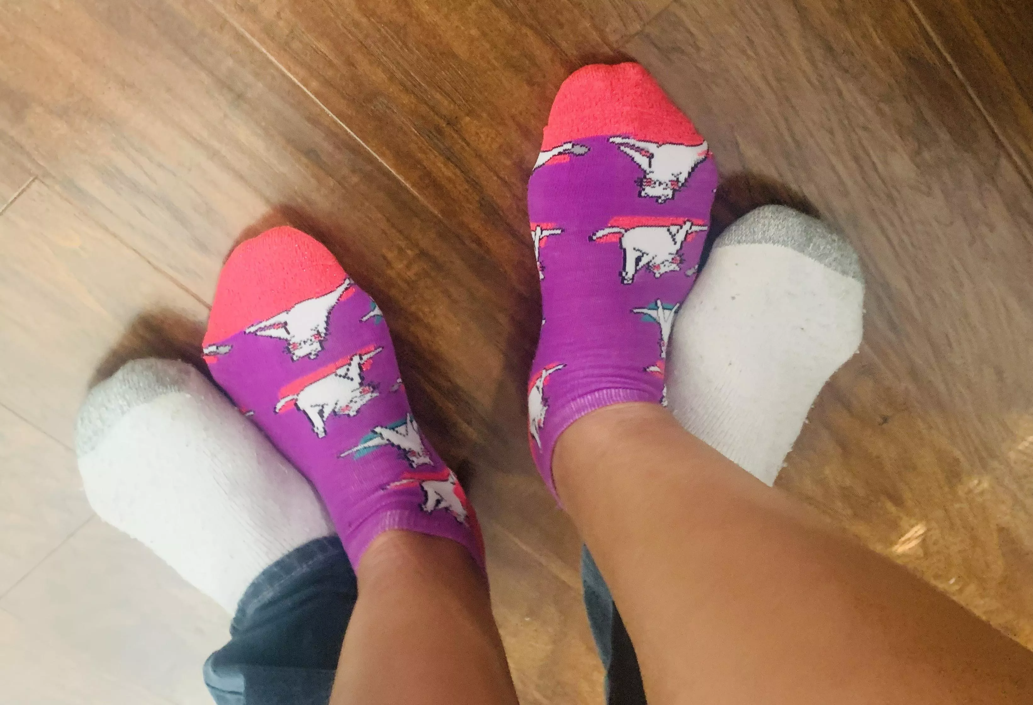 Gettin’ this kitty :P [selling]