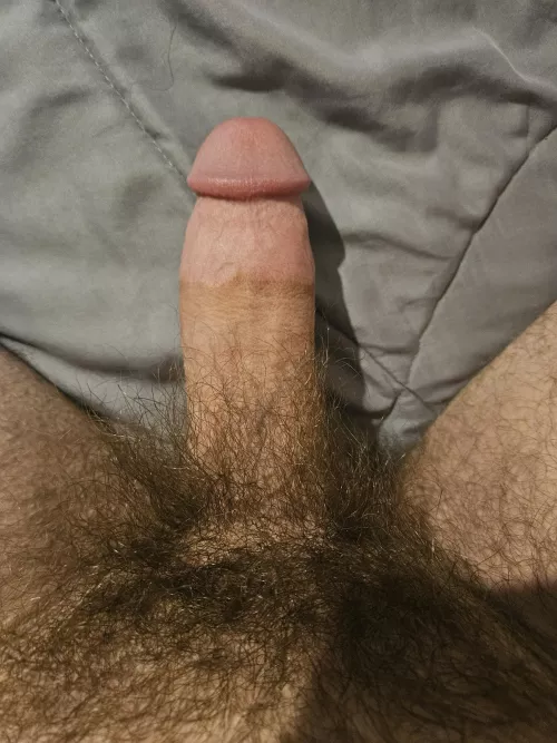 Hairy dicks smell better