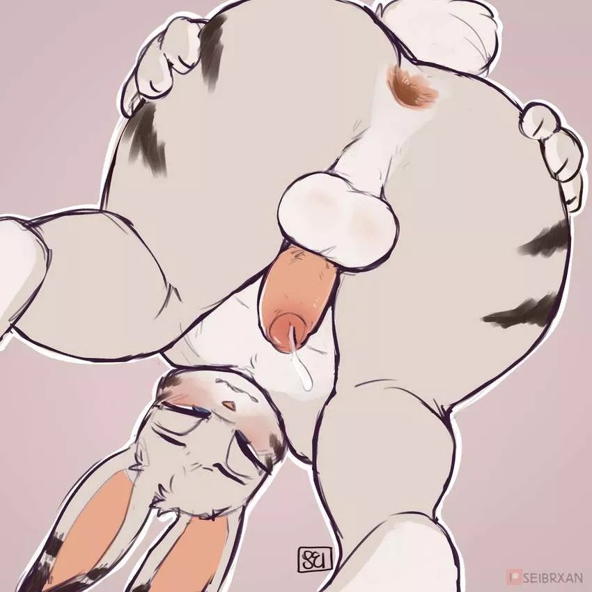 horny rabbit needs you~ (seibrxan)