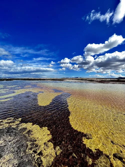 In love . Islas Canarias