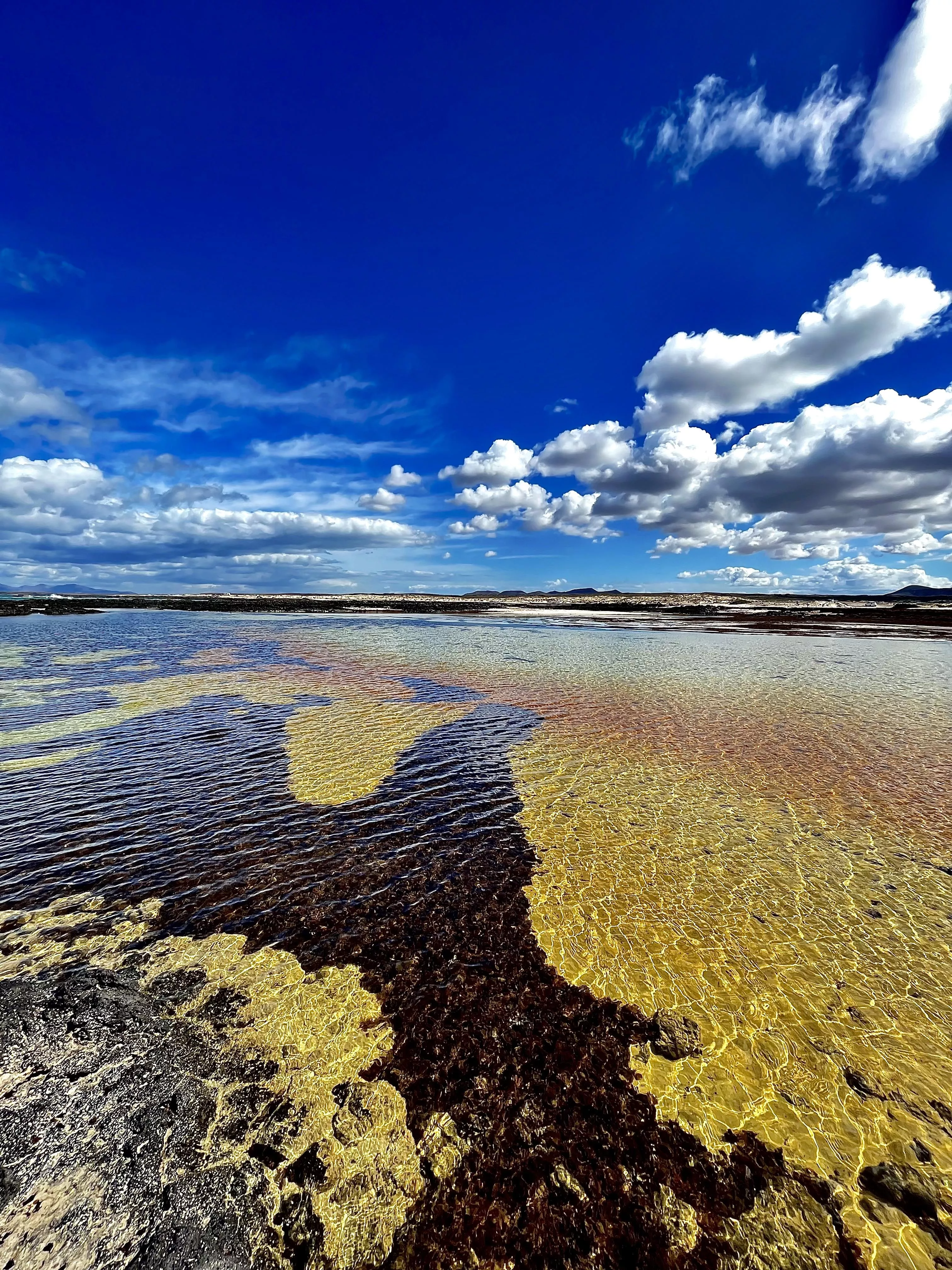 In love . Islas Canarias