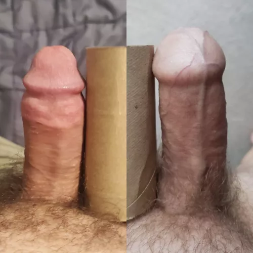 Lost to u/alphawhisky88's longer cock