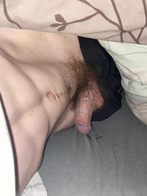 Morning scrolling reddit