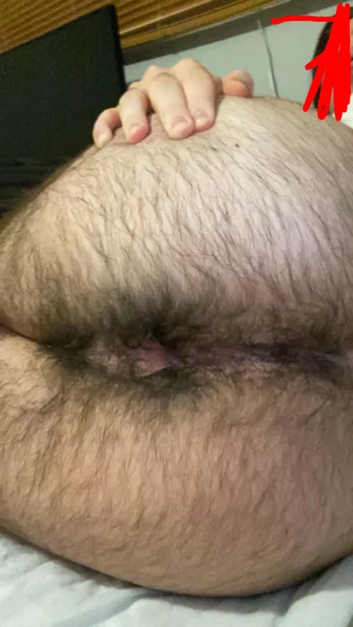 Need a hairy ass to release in?
