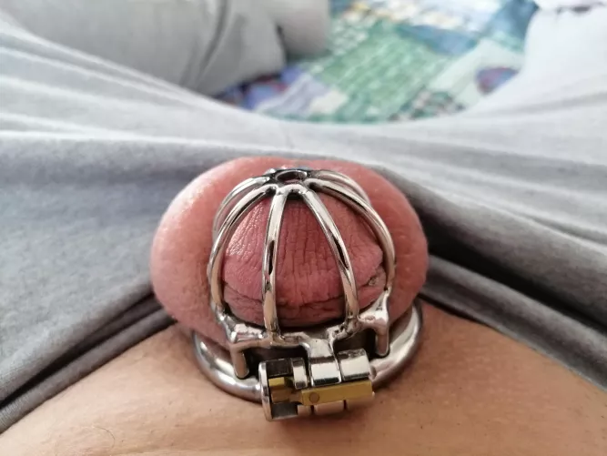 Shloud I get a smaller cage?