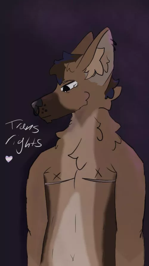 smth i made for trans awareness week ^^