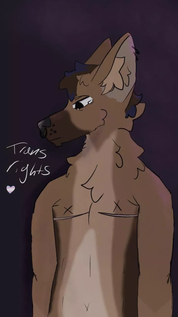 smth i made for trans awareness week ^^