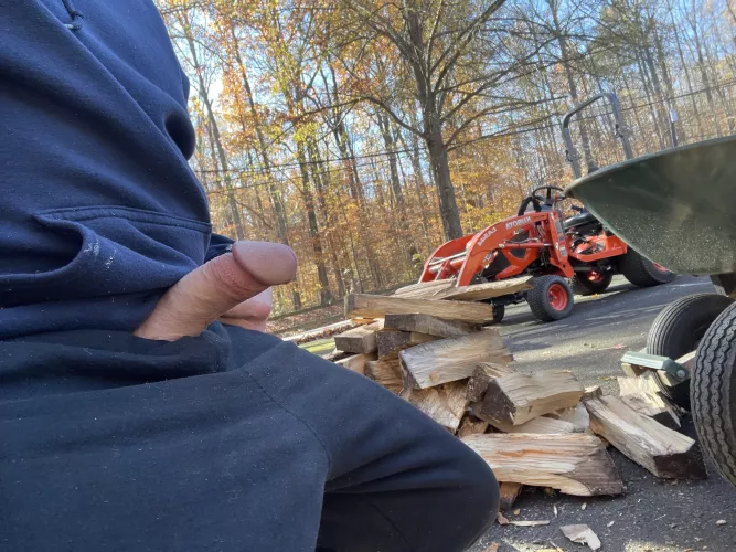 Some Wood Available.