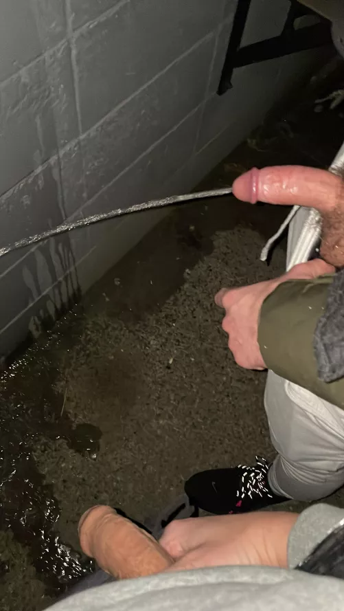 we drank too much and had to release our 26 year old cocks