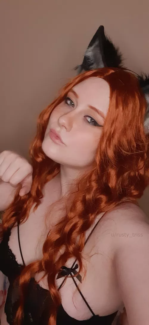 Would you handle wild vixen in your house?