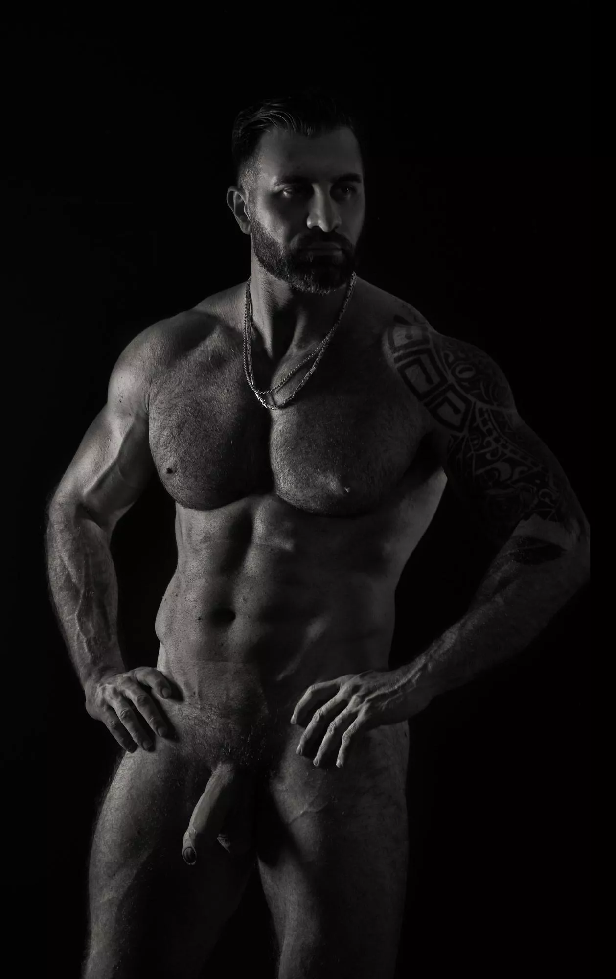 Would you let me breed you?