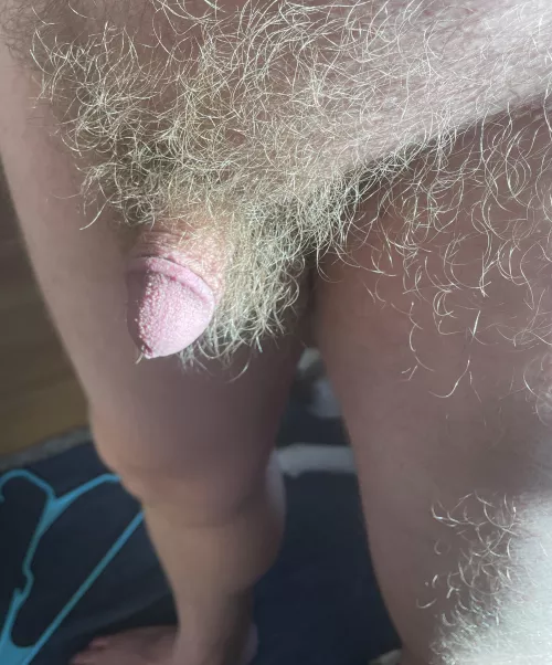 Any love for us blonde pube havers?