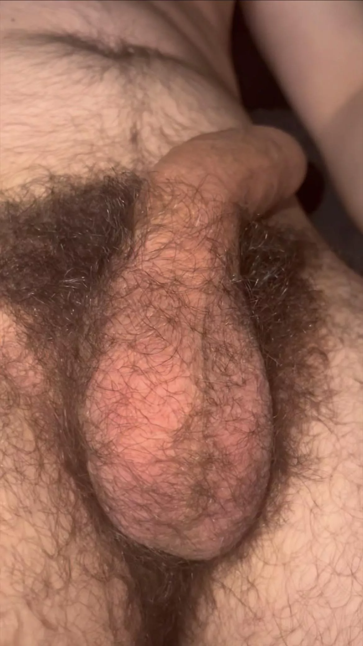 Could you handle my giant bush?😏🍆Dms open😈