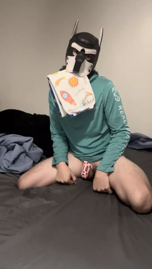Diaper, plugged andddd chastity. It must be this pups luckys day. O-or I mean worse day… let me out!