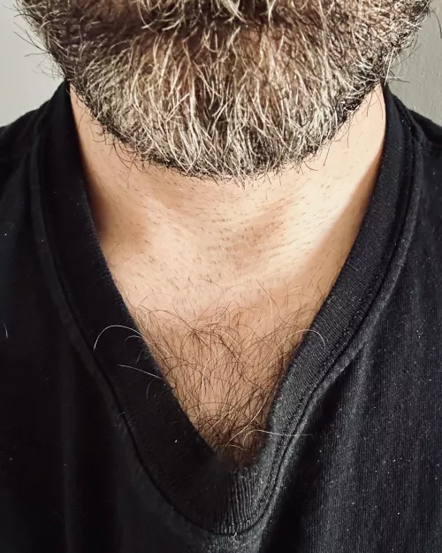 If we just met, would you stare at my eyes as we spoke or at the thick chest hair peeking out of my shirt collar?