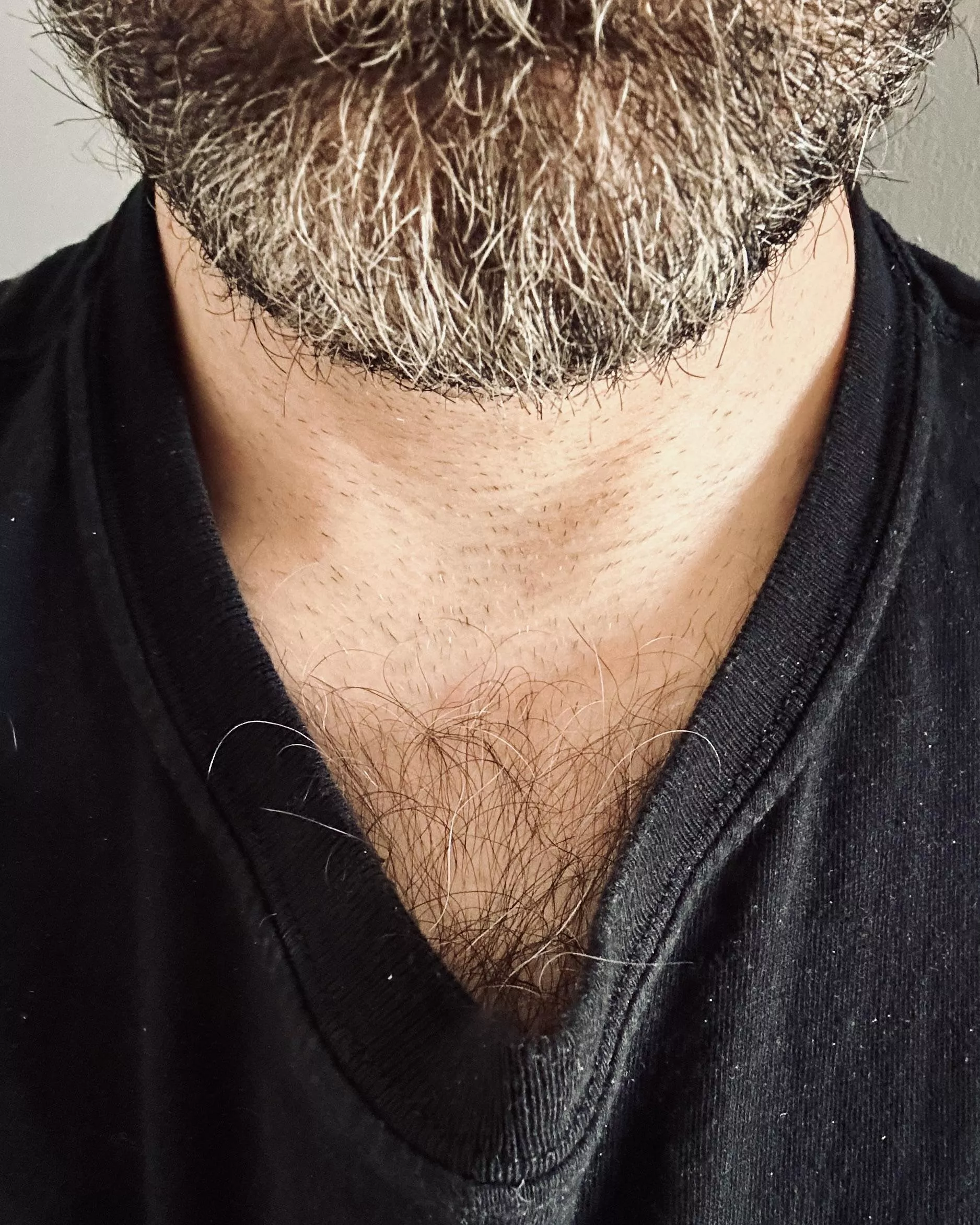 If we just met, would you stare at my eyes as we spoke or at the thick chest hair peeking out of my shirt collar?