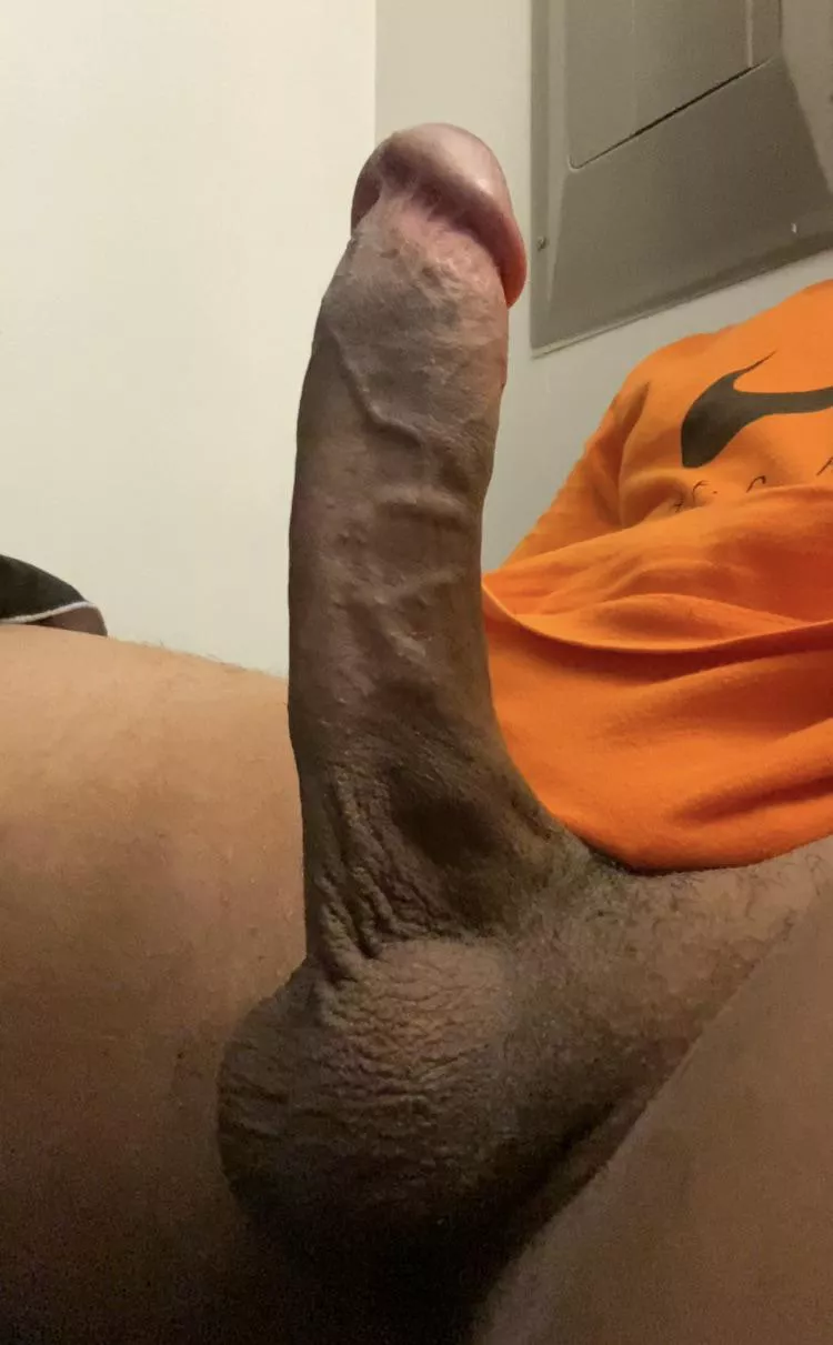 Morning Wood Before Class!