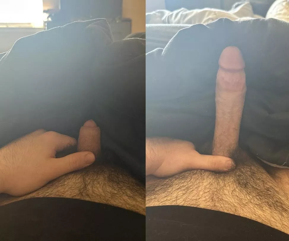 Never would’ve guessed they were the same cock