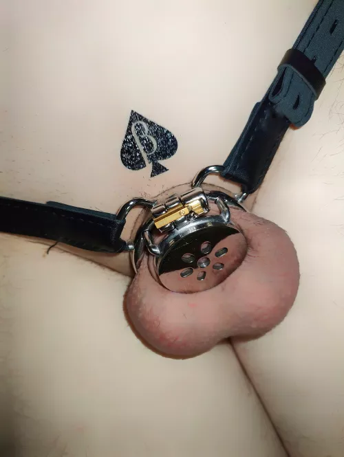 Should it go permanent?