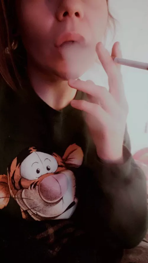 Tigers love to bounce.