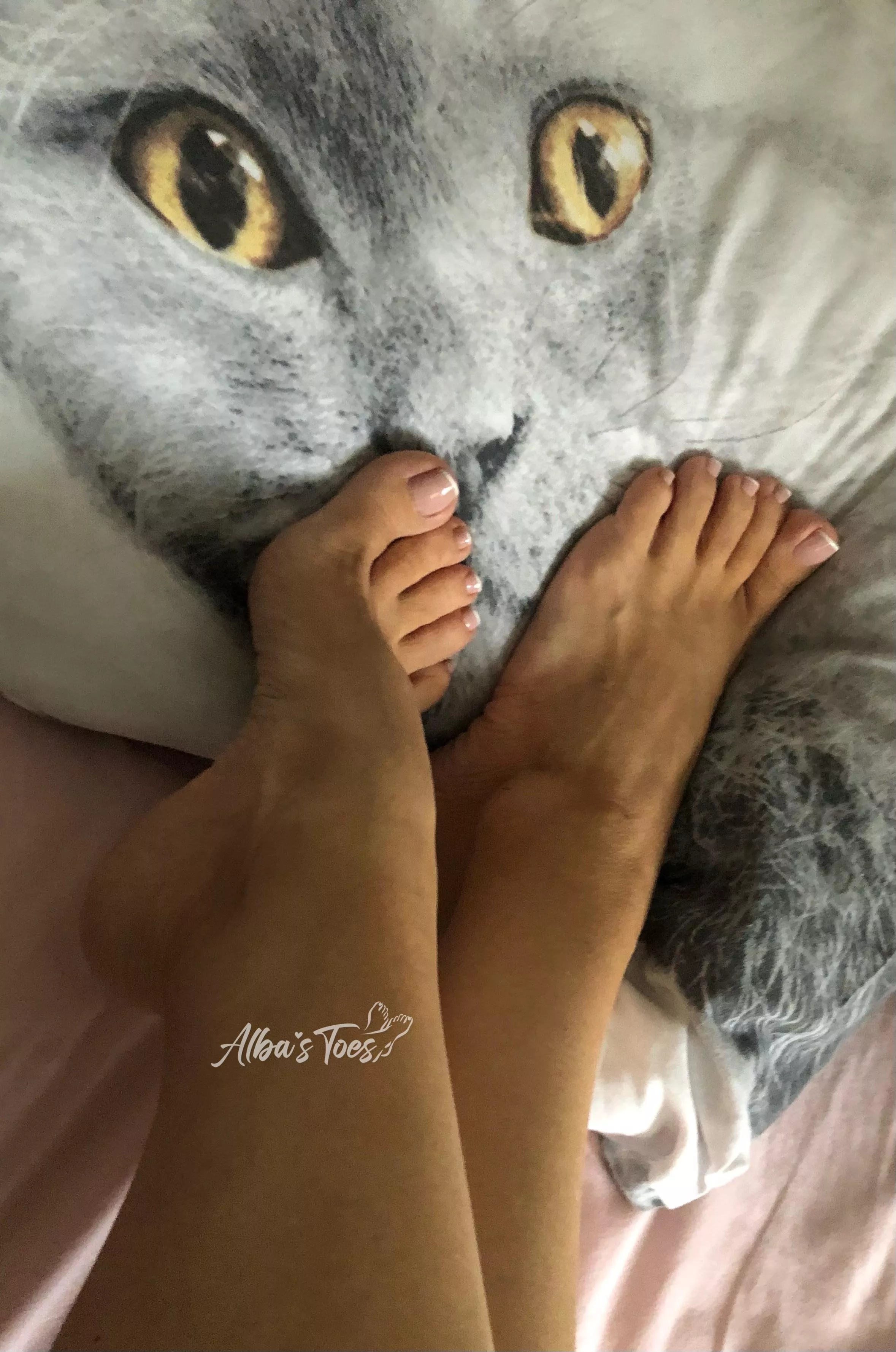 Who would like to be my pillow?