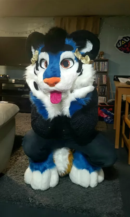 After 4 years I finally got my fursuit! What do yall think?