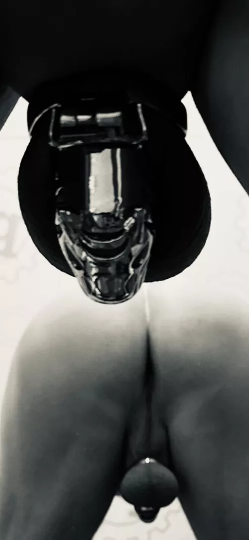 Attn: Lady With The Strap-On